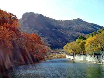 新澳天天开奖资料大全旅游团，正阳经穴失眠治疗仪